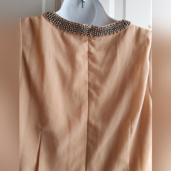 Pink Chiffon Dress - Picture 8 of 11